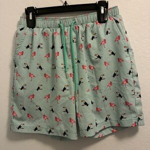 Mosmann Australia Men's Swim Shorts